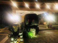 -三亚亚龙湾人间天堂鸟巢度假村