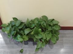 -三承堂经络·艾灸养生馆