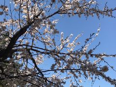 -爱时特套房酒店(会展中心远洋城店)