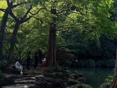 -杭州植物园