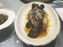 风顺家兴清蒸桂鱼-新概念文景酒楼(文景北路店)