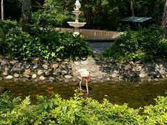 -广东茂名森林公园