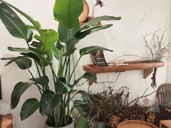 -甜莺蛋糕(顺盈时代广场店)