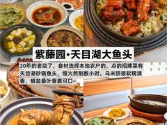 -紫藤园·天目湖大鱼头(南山竹海店)
