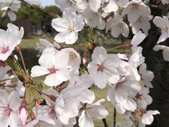 -同济大学(嘉定校区)