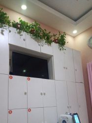-香薇妮丝·定制减肥·身材管理