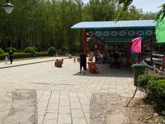 -森林公园(尖草坪区)