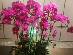 -天瑞轩·粤菜餐厅