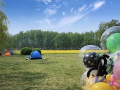 -天津武清北运河郊野公园房车露营地