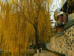 -西安市长乐公园