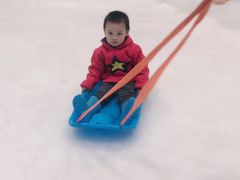 -Mr·Kuma酷么先生雪之乐园