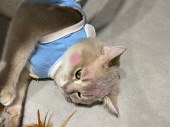 -第三空间·趣味桌游·轰趴.室内CS.剧本杀(大武汉1911店)