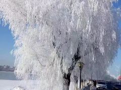 -雾凇岛