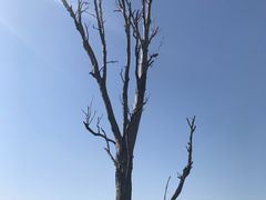 -汉长安城未央宫国家考古遗址公园