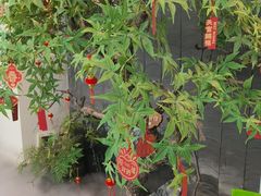 -大榕树下顺德菜(融创茂店)