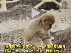-南昌动物园