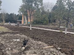 -东平国家森林公园