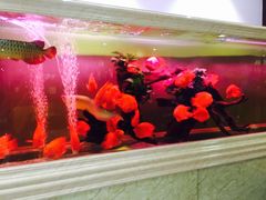 -三兴风采温泉养生(五四北秀山店)