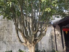 -天一阁博物院