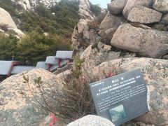 -崂山巨峰游览区