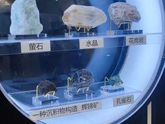 -上海儿童博物馆