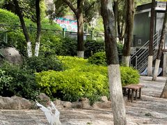 -昆明动物园