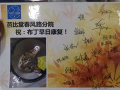 出院护工医生祝福签字-芭比堂动物医院·24小时·眼科中心(深圳中心)