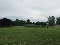 -汉长安城未央宫国家考古遗址公园