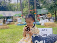 -南宁良凤江国家森林公园