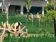 -沈阳森林动物园