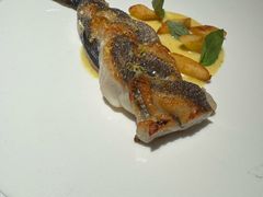 -Oyster Talks 四度蚝法餐厅