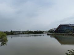 -上海长兴岛郊野公园