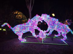 -南宫五洲植物乐园