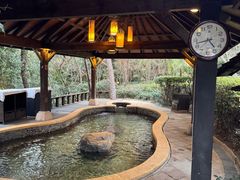 -天目湖涵田半山温泉