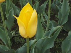 -长春公园(普阳街道)