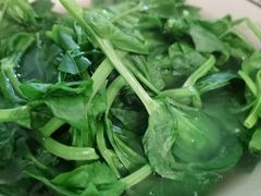 汤豌豆尖-玉滋補