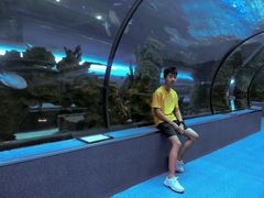 -乐从天佑城海洋馆