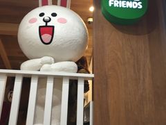 -line friends(明洞旗舰店)