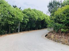 -雨花胜境
