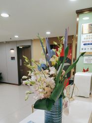 -上海华美医疗美容医院