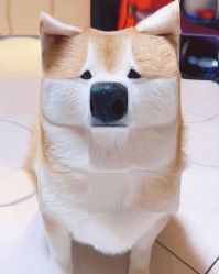 -Oasis Beauty水磨坊科技美肤中心