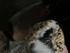 -旺福楼·包点(碑亭巷店)