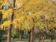 -玲珑塔公园