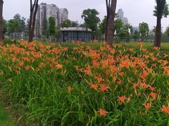 -汉江湾体育公园