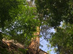 -北京上方山国家森林公园