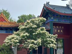-大明幻境第一城