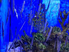 -多彩贵州城极地海洋世界