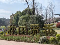 -铁山坪森林公园