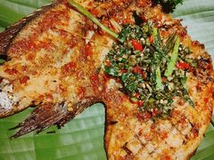 -金塔傣乡·云南民族特色菜·傣味手抓饭(金瓦路店)