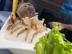 -阳光码头海鲜火锅(世纪大道店)